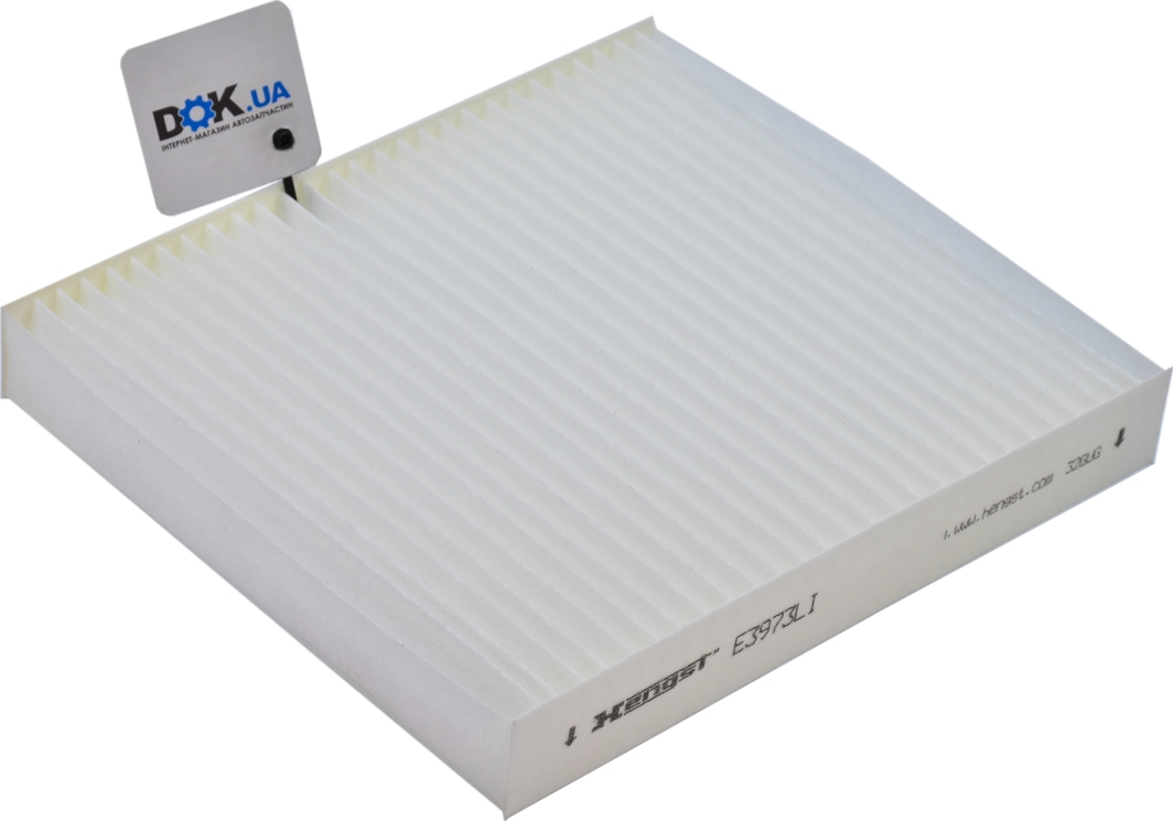 Hengst Filter E3973LI Фильтр салона
Hengst Filter E3973LI Фильтр салона