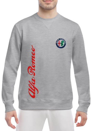 Свитшот мужской Globuspioner Alfa Romeo Vertical Logo спереди класический рукав серый 6653863284
Свитшот мужской Globuspioner Alfa Romeo Vertical Logo спереди класический рукав серый 6653863284