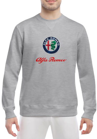 Свитшот мужской Globuspioner Alfa Romeo Big Logo спереди класический рукав серый 6653763285
Свитшот мужской Globuspioner Alfa Romeo Big Logo спереди класический рукав серый 6653763285