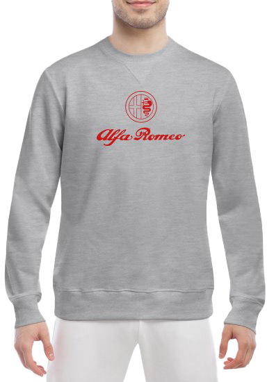 Свитшот мужской Globuspioner Alfa Romeo Logo спереди класический рукав серый 2328763285
Свитшот мужской Globuspioner Alfa Romeo Logo спереди класический рукав серый 2328763285