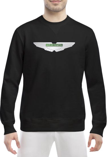 Свитшот мужской Globuspioner Aston Martin Silver Wings спереди класический рукав чёрный 2285463257
Свитшот мужской Globuspioner Aston Martin Silver Wings спереди класический рукав чёрный 2285463257