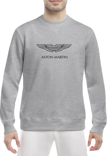 

Свитшот мужской Globuspioner Aston Martin Vector Logo спереди класический рукав серый 6690563282