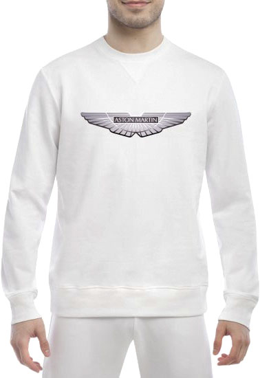 Свитшот мужской Globuspioner Aston Martin Silver Wings v2 спереди класический рукав белый 772146314
Свитшот мужской Globuspioner Aston Martin Silver Wings v2 спереди класический рукав белый 772146314