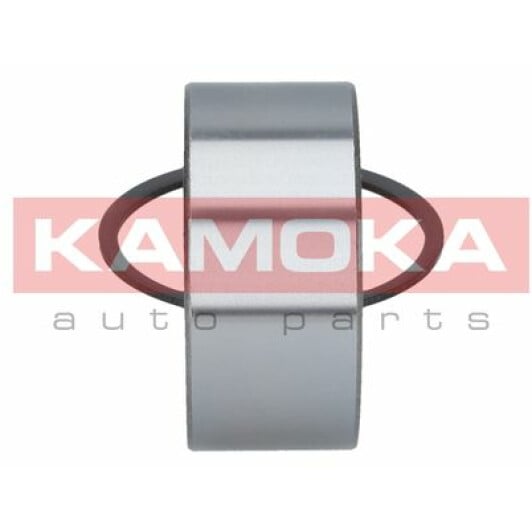 5600081 Kamoka Підшипник ступиці колеса