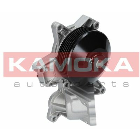 Помпа Kamoka T0048