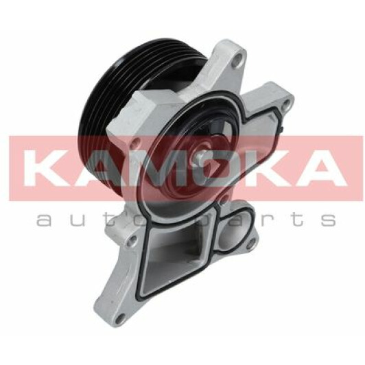 Помпа Kamoka T0048