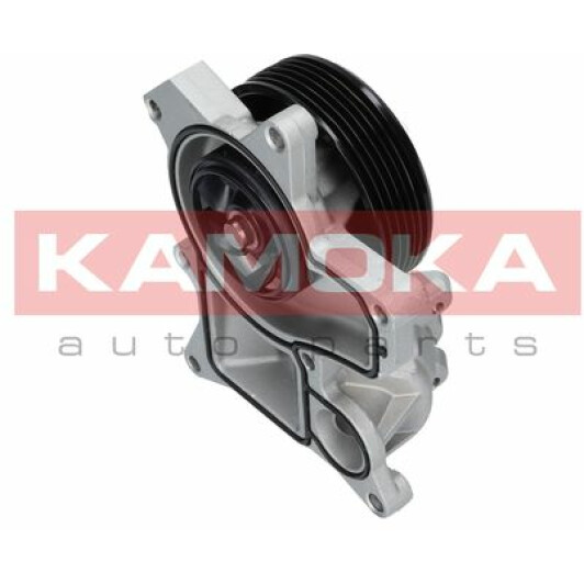 Помпа Kamoka T0048