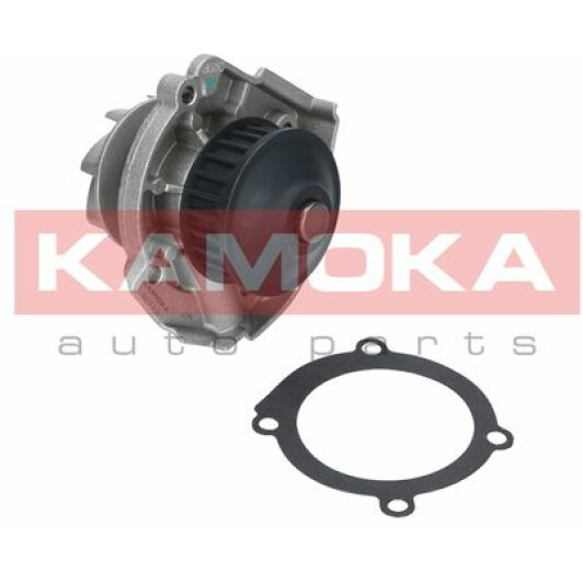 Помпа Kamoka T0118