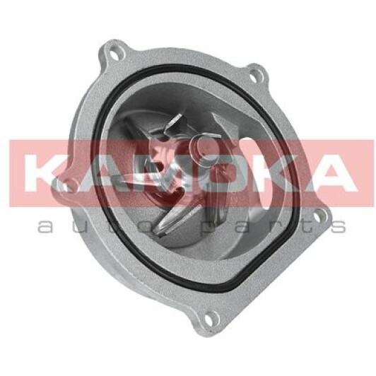 Помпа Kamoka T0145