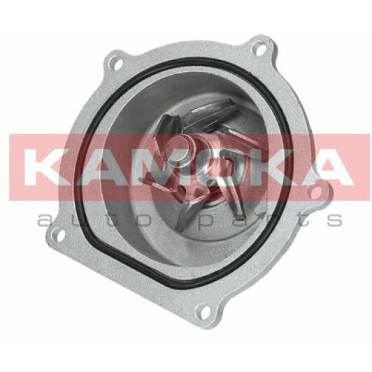 Помпа Kamoka T0145