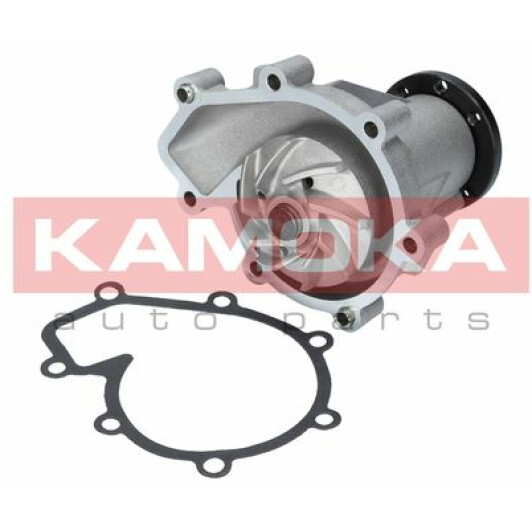 Помпа Kamoka T0181