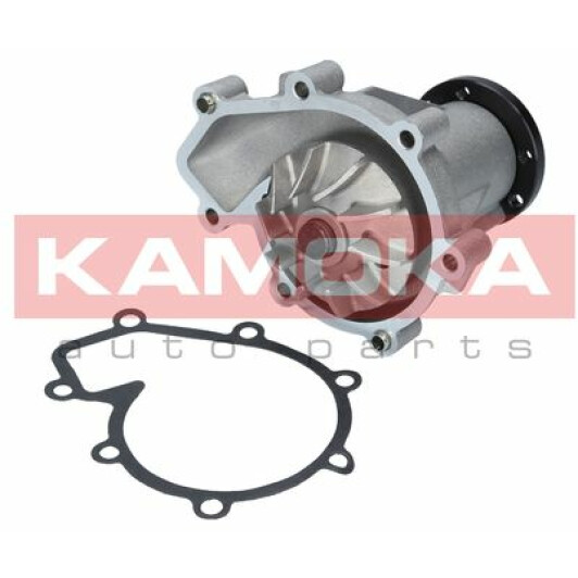 Помпа Kamoka T0184