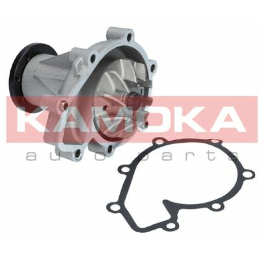 Помпа Kamoka T0184