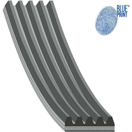 AD05R866 Blue Print Поликлиновой ремень