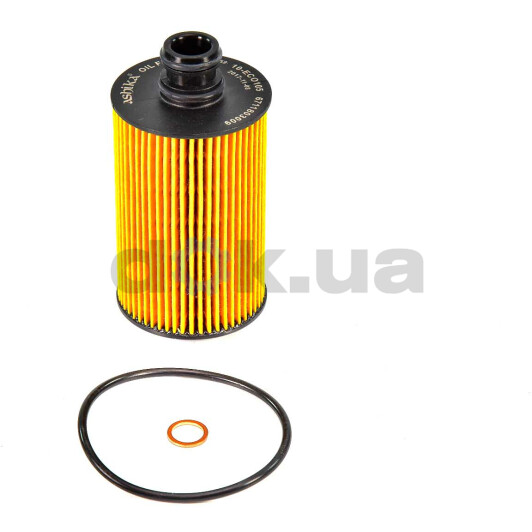 Оливний фільтр Ashika 10-ECO105