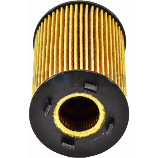 Оливний фільтр Ashika 10-ECO105