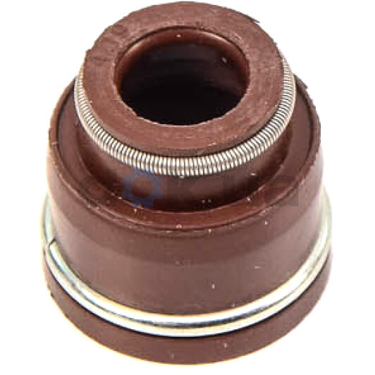 Комплект сальників клапанів Reinz 12-52733-01