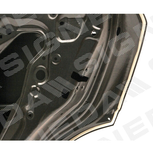 Дверь Signeda phd80008gr