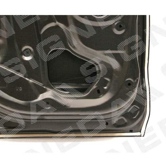 Двері Signeda phd80008gl