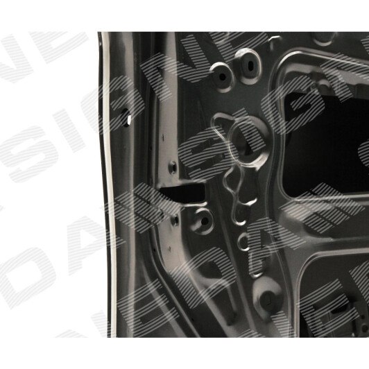 Дверь Signeda pty80010al
