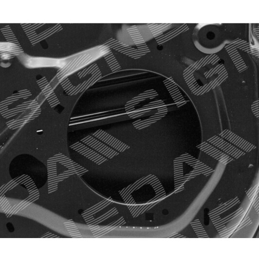 Дверь Signeda pfd80006al