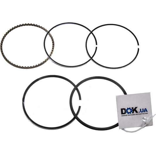 2C5029 Hastings Piston Rings Комплект поршневых колец