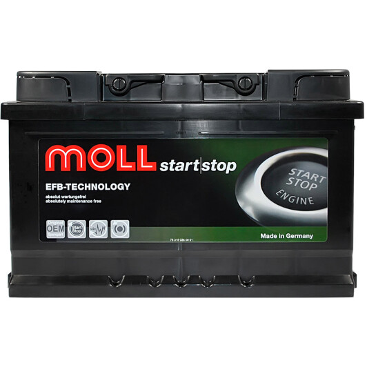 Акумулятор Moll 6 CT-65-R EFB Technology 1082065