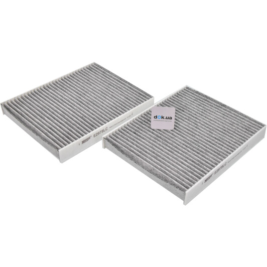 E2978LC-2 Hengst Filter Фильтр салона