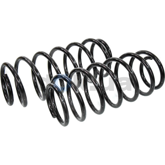 Пружина підвіски RAISO sf027tp