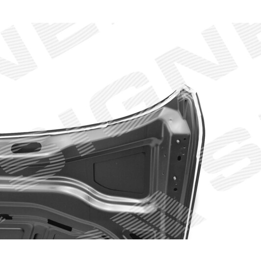 Капот Signeda pvw20067bq