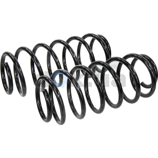 Пружина підвіски RAISO sf027tp