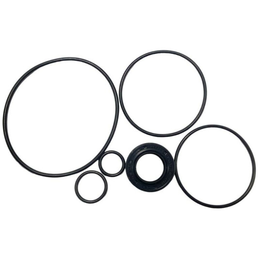 BW8006KIT MSG Насос ГУР
