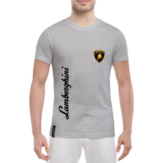Футболка мужская Globuspioner классическая Lamborghini Logo Vertical серый спереди XXL