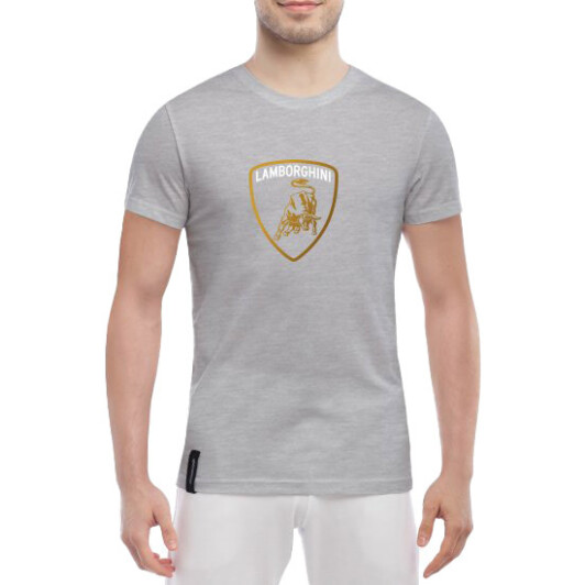 Футболка мужская Globuspioner классическая Lamborghini Logo Gold серый спереди M