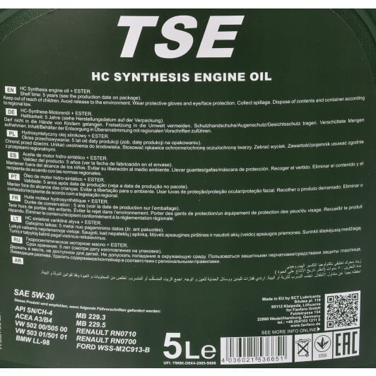 Моторное масло Fanfaro TSE 5W-30 5 л на Nissan Terrano