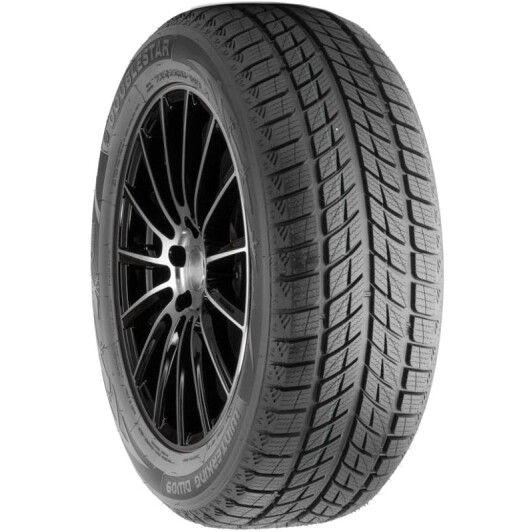Шина Doublestar WinterKing DW09 255/50 R20 109H XL