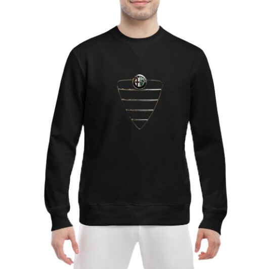 Свитшот мужской Globuspioner Alfa Romeo Lattice спереди класический рукав чёрный XXL