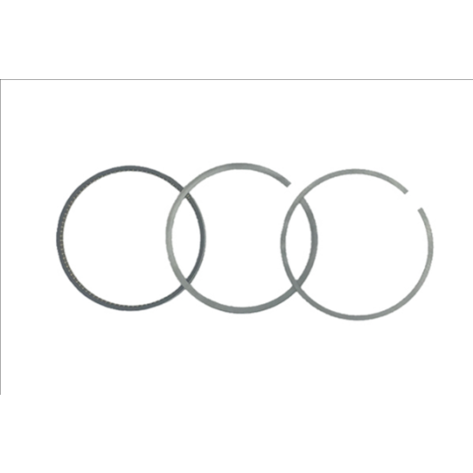 Комплект поршневых колец Borsehung b19044