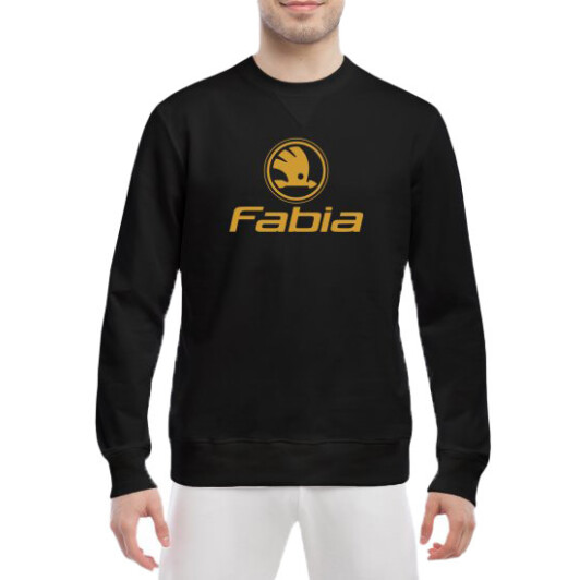 Свитшот мужской Globuspioner Skoda Fabia Logo спереди класический рукав чёрный XXL