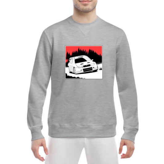 Свитшот мужской Globuspioner Skoda Art спереди класический рукав серый XXL