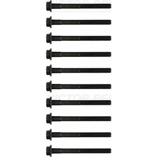 14-55001-01 Reinz Болт ГБЦ