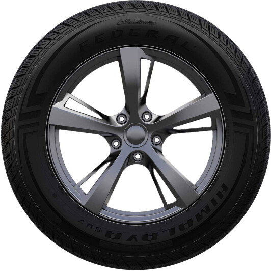 Шина Federal Himalaya SUV 235/55 R18 100T (під шип)