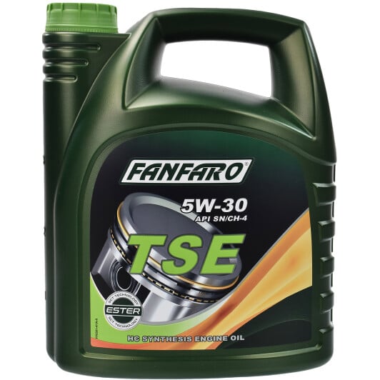 Моторна олива Fanfaro TSE 5W-30 4 л на Ford Scorpio