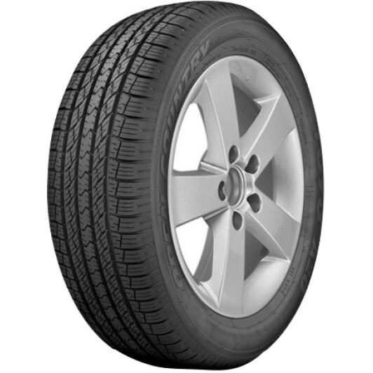 Шина Toyo Tires Open Country A20A 245/65 R17 105S