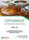 Сертификат на Масло Castrol GTX Ultraclean A/B 10W-40 на Porsche Cayenne