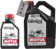 Моторное масло Motul LPG-CNG 5W-40 на Smart Forfour
