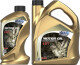 Моторное масло MPM Premium Synthetic EDT 0W-30 на Kia Pregio