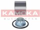 Комплект ступицы колеса Kamoka 5600065