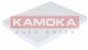 Фильтр салона Kamoka F413201