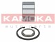 Комплект ступицы колеса Kamoka 5600031